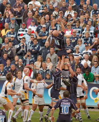 6640- Lineout-1.jpg