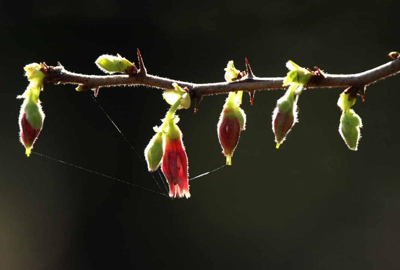 IMG_1540 qge.jpg