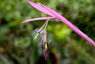 IMG_3126 qge.jpg