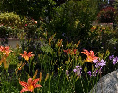 CRW_9544.jpg