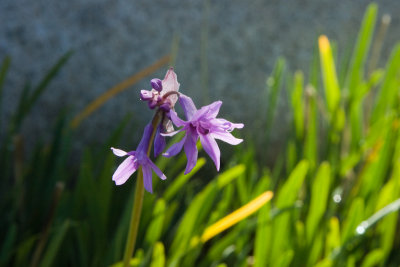 CRW_8042.jpg