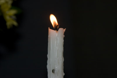 CRW_8097.jpg
