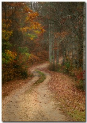 Moody Driveway.jpg