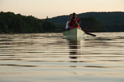 Algonquin004.jpg