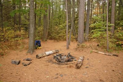 Algonquin002.jpg