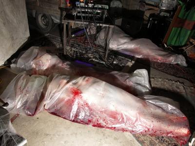 PhalangeDoomMaulGiganticFactory10302005-4.jpg