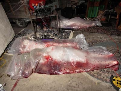 PhalangeDoomMaulGiganticFactory10302005-5.jpg