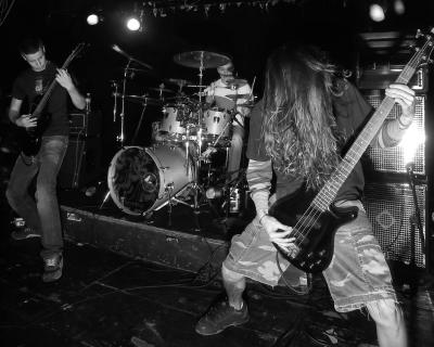 AnimosityPound12142005-3.jpg