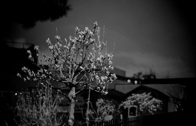 201005-06-M2-400PR-NOCT-35LUX 28.jpg