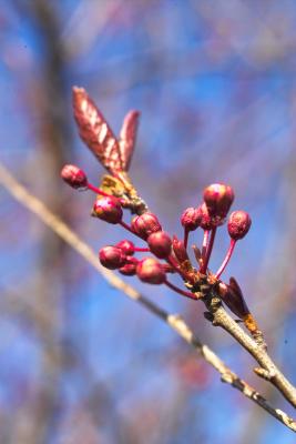 A Hint of Spring in the Air 2