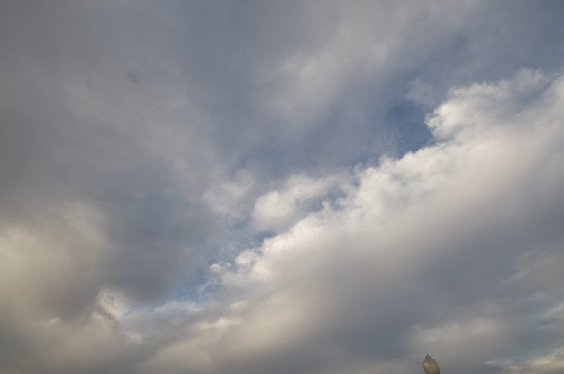 _DSC0007.jpg
