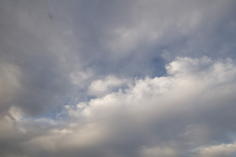 _DSC0008.jpg