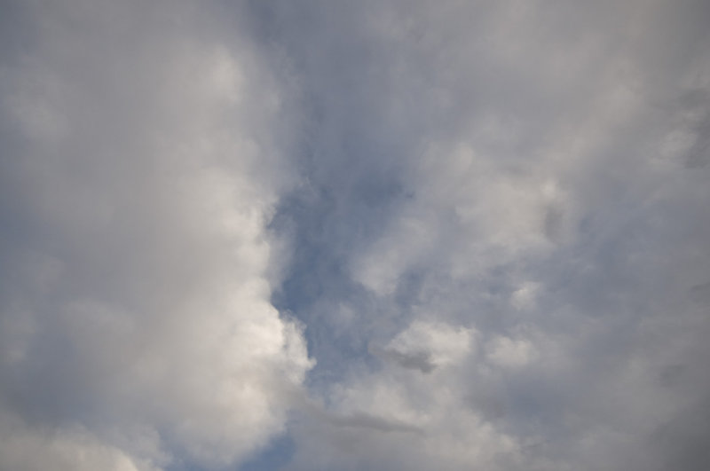 _DSC0013.jpg