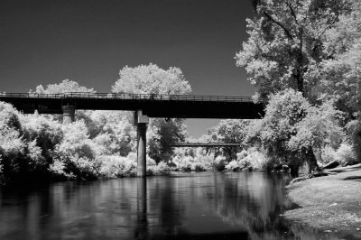 9831-Down-by-the-River.jpg