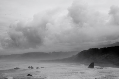 6752-Summer-Coastal-Fog.jpg