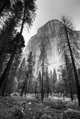 59873456-All-Stand-for-El-Capitan-bw.jpg