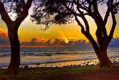 8154-Maui-sunset-W.jpg