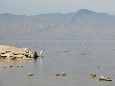 img_8006.jpg