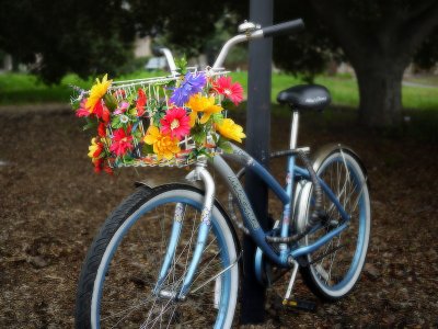 p1020734bikeflowers.jpg