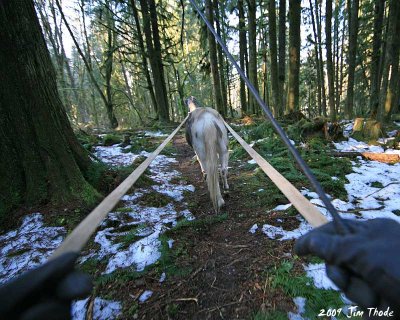 Heading down the trail