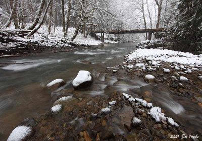 South Fork of the Newaukum River