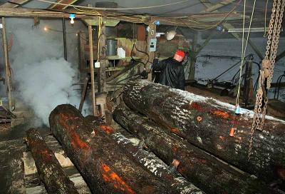 Logs in the mill --------- IMG_0794a.jpg