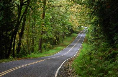Country Road CRW_5428a.jpg
