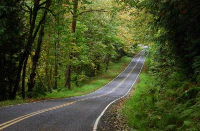 Country Road   CRW_5428a.jpg