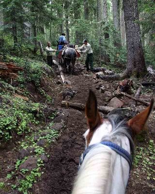 Trail work from the saddle   (Near Jug Lake)