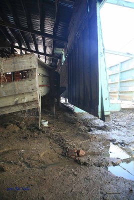 4-H Cow Barn damage