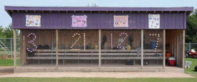 Gotta Love Dugout Cup Numbers