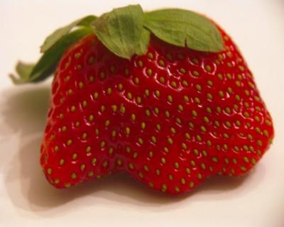 Mutant Strawberry