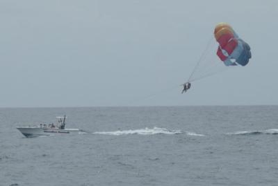 Parasailers from Whale Watch I