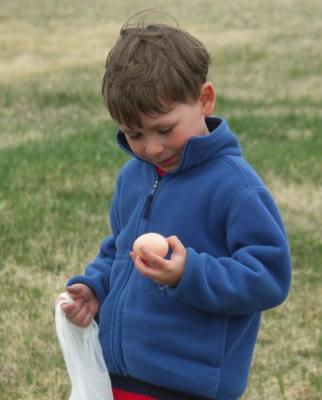 Is This Egg Empty???