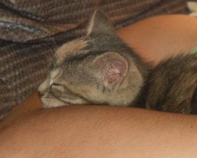 Cuddly Cheerio