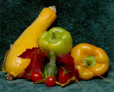 From the Sandbox Garden