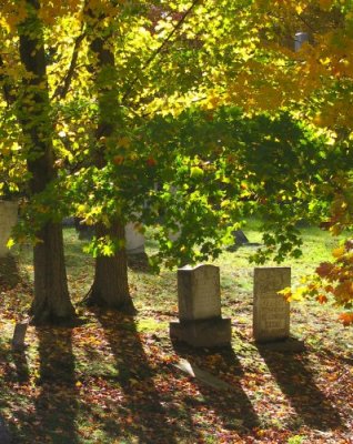 Buried Amidst the Leaves