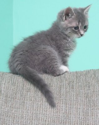 Eudora On The Chair