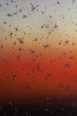 Ice Crystals at 36,000 feet