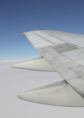 On a Wing and a Prayer