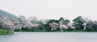 Along the lake front - ArashiYama