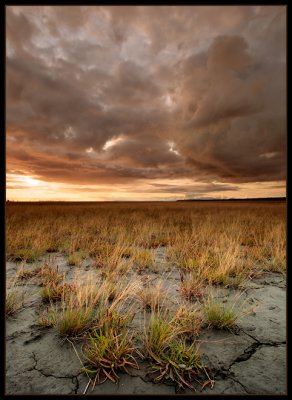 The Flats