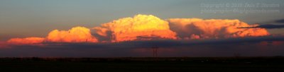 4 Cells - IMG_1648.JPG
