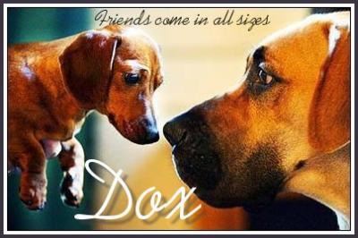 friends