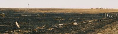 Fence Posts.jpg