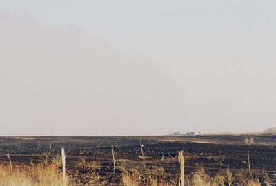 More Scorched Earth