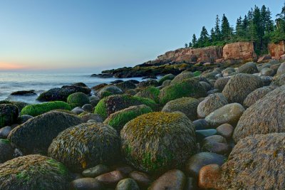 Moss and Rocks