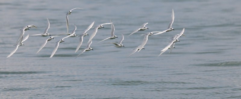 DSC_7557.jpg
