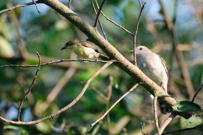 DSC_5102.jpg
