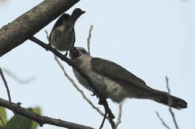 DSC_5158.jpg